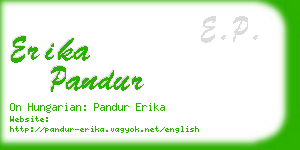 erika pandur business card